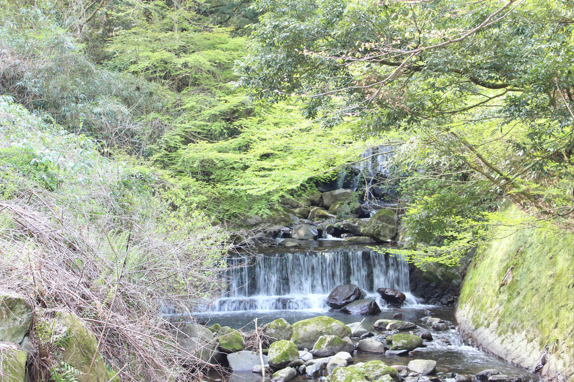 Hakone Guesthouse Toi Eksteriør billede